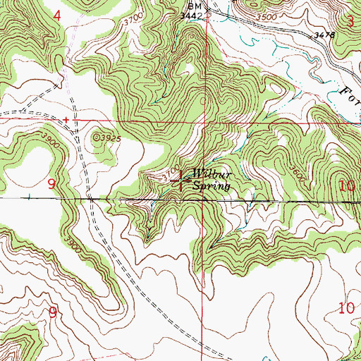 Topographic Map of Wilbur Spring, MT