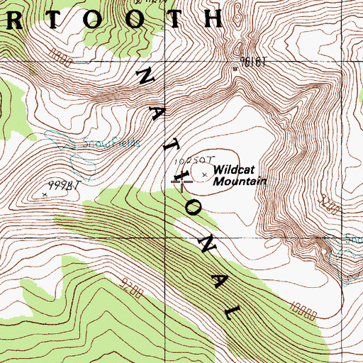 Topographic Map of Wildcat Mountain, MT