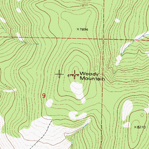 Topographic Map of Woody Mountain, MT