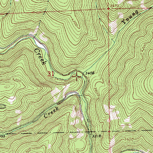 Topographic Map of Young Creek, MT