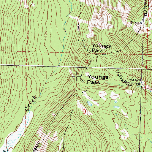 Topographic Map of Youngs Pass, MT