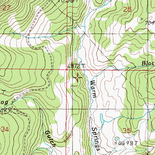 Topographic Map of Black Bear Creek, MT