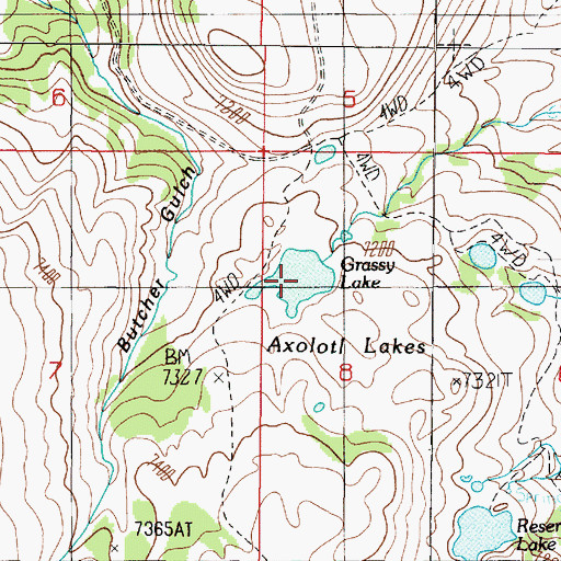 Topographic Map of Grassy Lake, MT