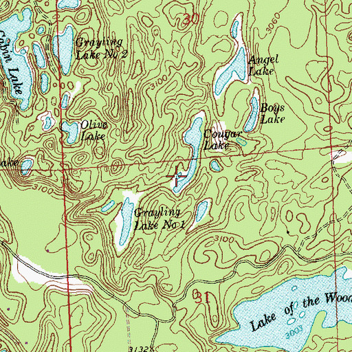 Topographic Map of Cougar Lake, MT