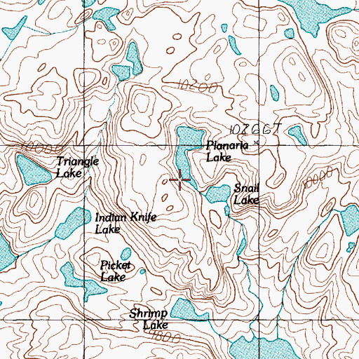 Topographic Map of Planaria Lake, MT