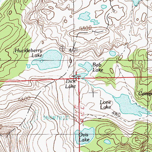 Topographic Map of Dick Lake, MT