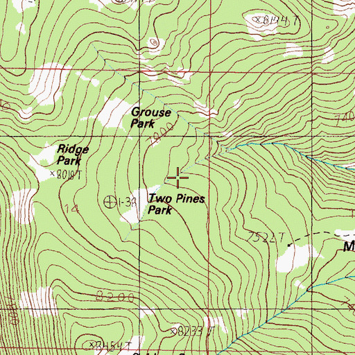 Topographic Map of Two Pines Park, MT
