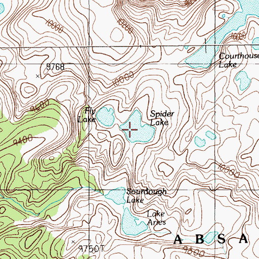 Topographic Map of Spider Lake, MT