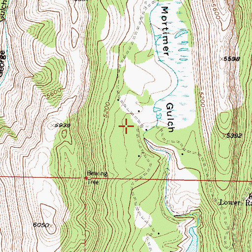 Topographic Map of Gibson Lake Lodge, MT