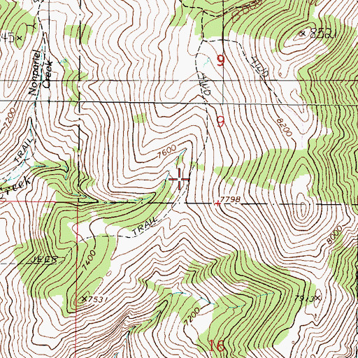 Topographic Map of Non Pareil Park, MT