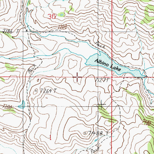 Topographic Map of Albino Dam, MT