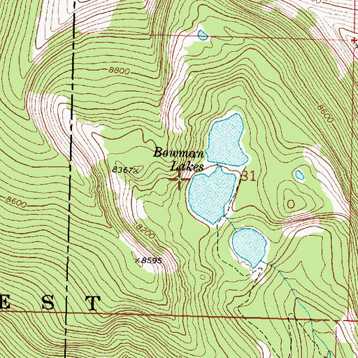 Topographic Map of Bowman Lake Number 2 Dam, MT