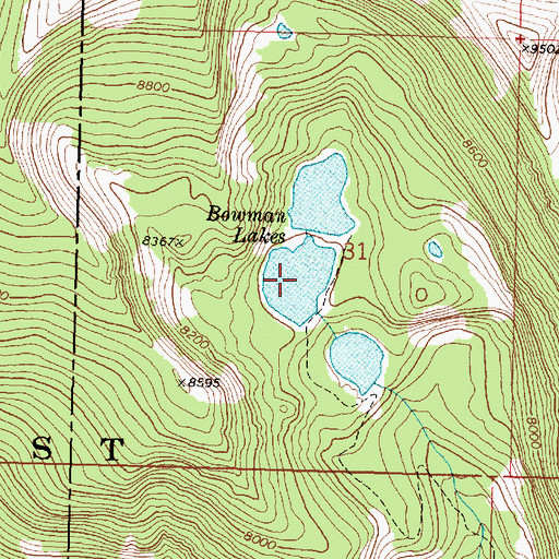 Topographic Map of Middle Bowman Lake, MT