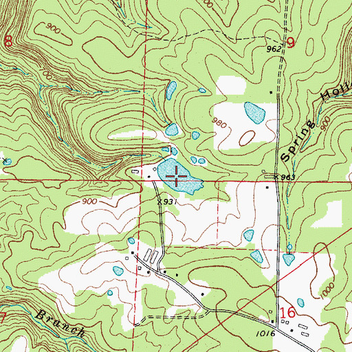 Topographic Map of Bullard Lake, AR