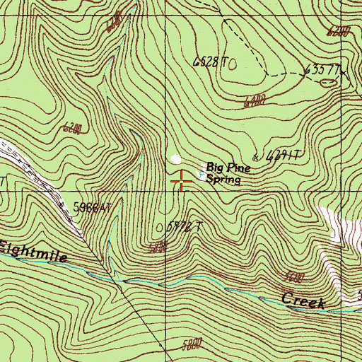Topographic Map of Big Pine Spring, MT