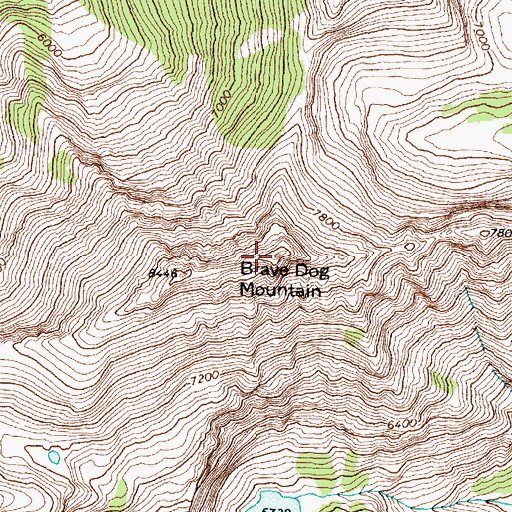 Topographic Map of Brave Dog Mountain, MT