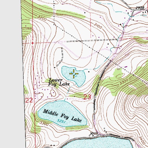 Topographic Map of Lower Foy Lake, MT