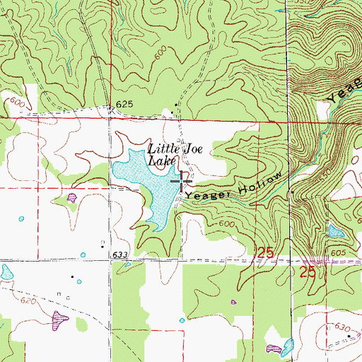 Topographic Map of Carl Phillips Lake Dam, AR