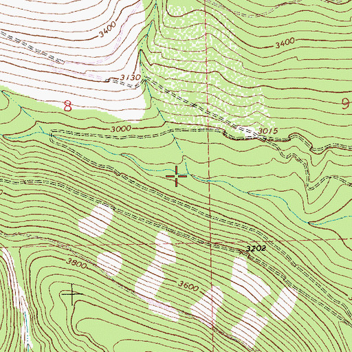 Topographic Map of Hickey Creek, MT