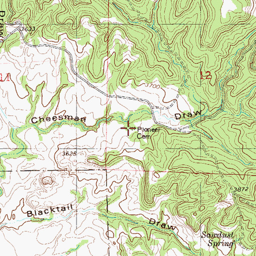 Topographic Map of Pioneer Cemetery, MT