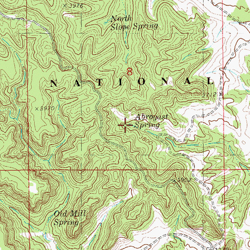 Topographic Map of Abrogast Spring, MT