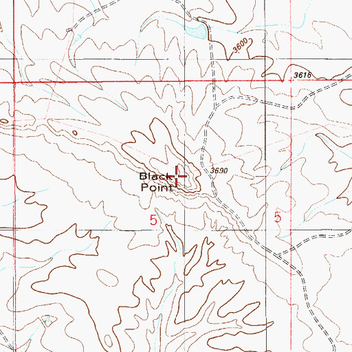 Topographic Map of Black Point, MT
