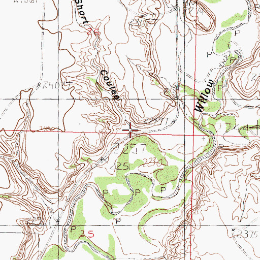 Topographic Map of Short Coulee, MT