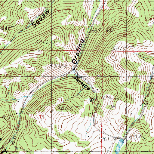 Topographic Map of Arrastra Gulch, MT