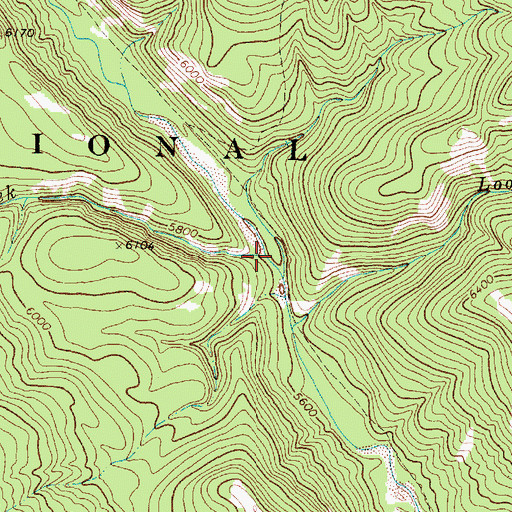 Topographic Map of Bald Bear Creek, MT