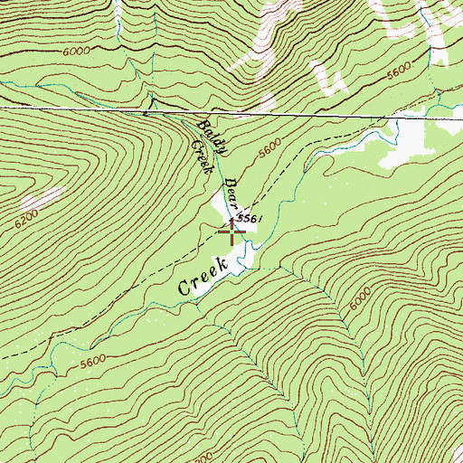 Topographic Map of Baldy Bear Creek, MT