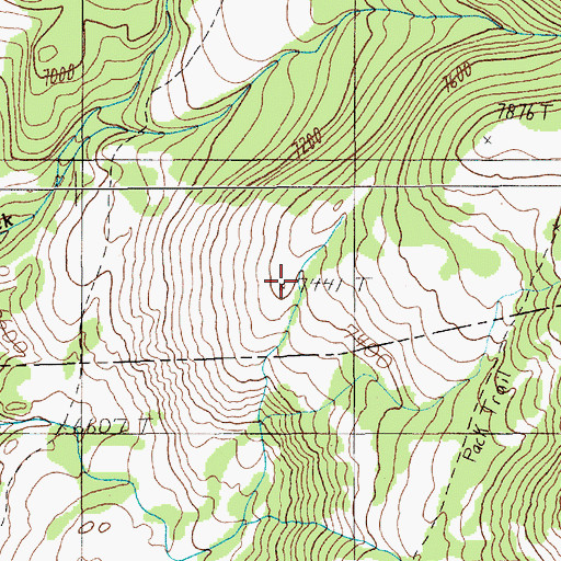 Topographic Map of Buffalo Plateau Trail, MT