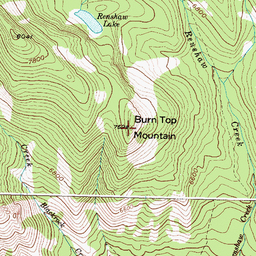 Topographic Map of Burn Top Mountain, MT