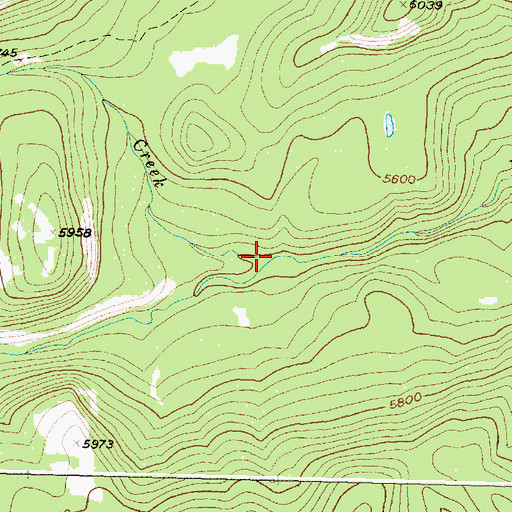 Topographic Map of Miners Creek, MT