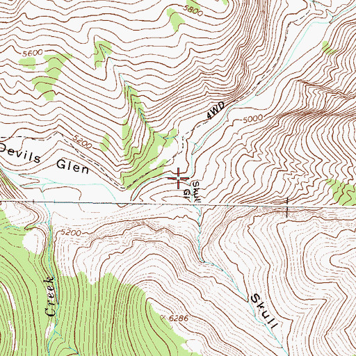 Topographic Map of Skull Gulch, MT