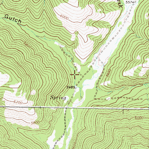 Topographic Map of Wildcat Gulch, MT