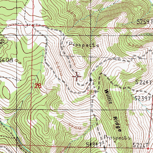 Topographic Map of Willit Ridge, MT