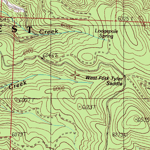 Topographic Map of West Fork Tyler Saddle, MT