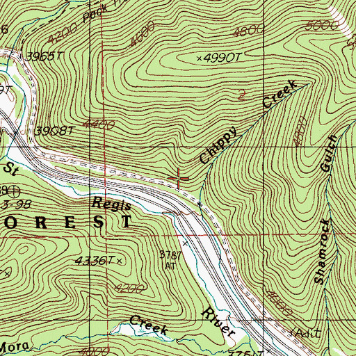 Topographic Map of Chippy Creek, MT