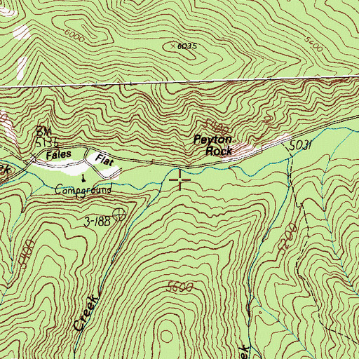 Topographic Map of Fales Creek, MT