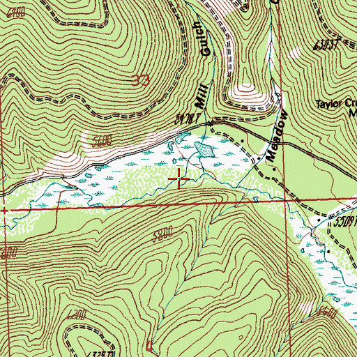Topographic Map of Mill Gulch, MT