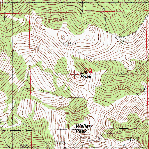 Topographic Map of Elk Peak, MT