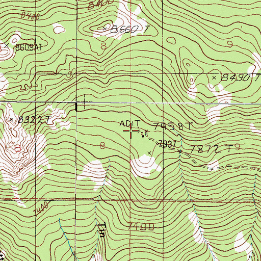 Topographic Map of Vulture Mine, MT