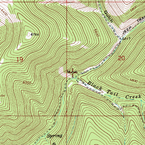 Topographic Map of Silver Snowflake Mine, MT