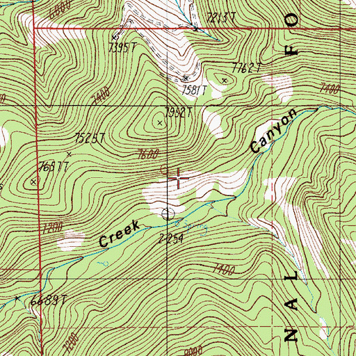 Topographic Map of Pass Creek Mine, MT