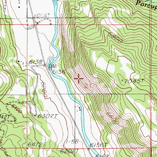 Topographic Map of Rhyolite Mine, MT