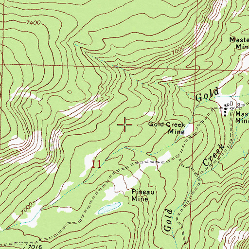 Topographic Map of Pineau Mine, MT