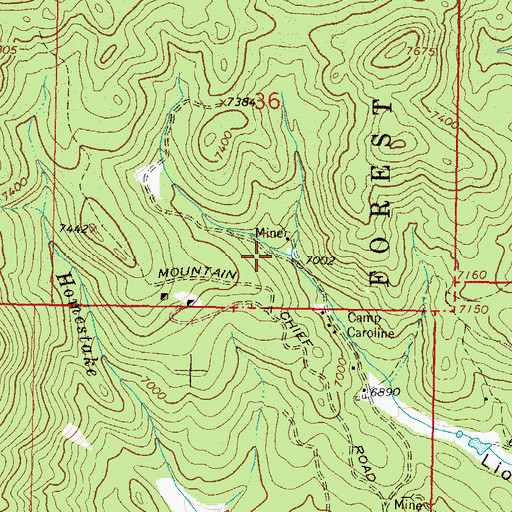 Topographic Map of SW SE Section 36 Mine, MT