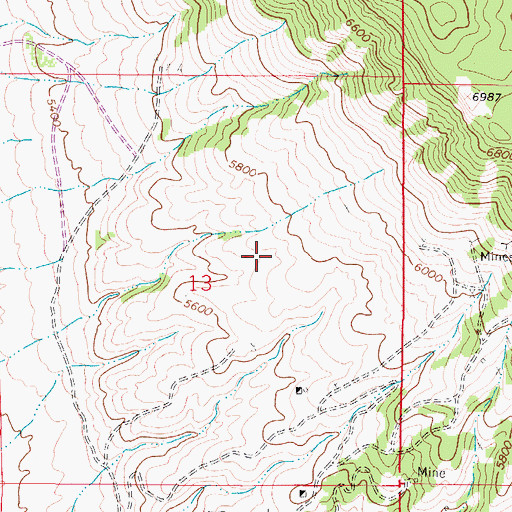 Topographic Map of Examiner Mine, MT