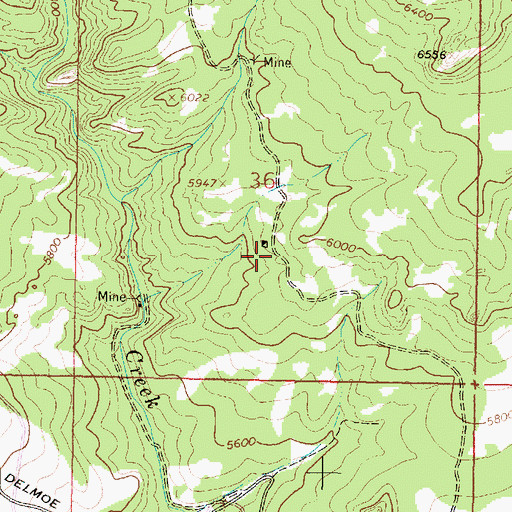Topographic Map of NE SW Section 36 Mine, MT