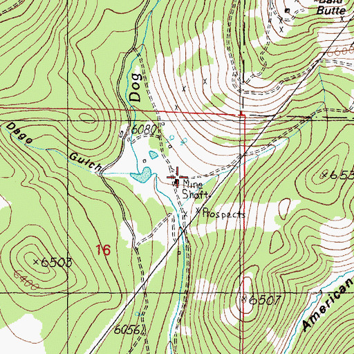 Topographic Map of Larson Mine, MT